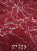 Sp 223