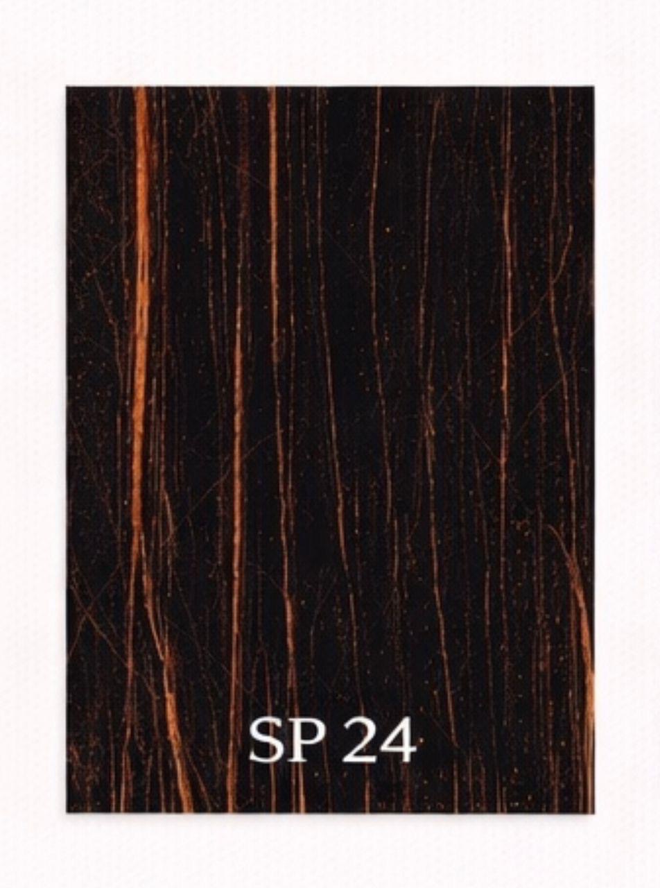sp 24